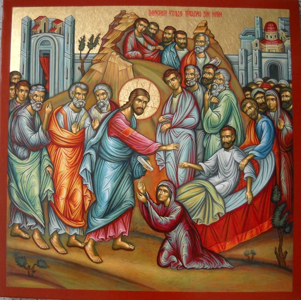 вдовы 