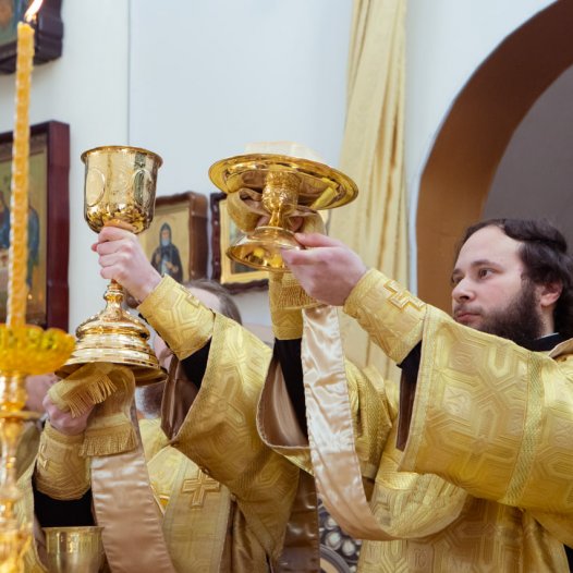 У Неділю про митаря і фарисея в Київських духовних школах звершено Божественну літургію