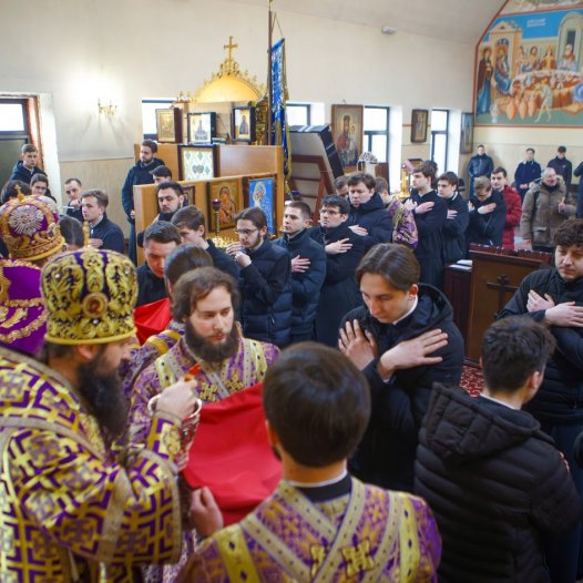 Соборна Літургія та загальне Причастя у день пам’яті священносповідника Василія (Богдашевського)