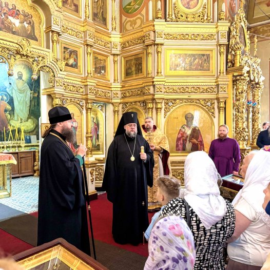Служіння архієпископа Білогородського Сильвестра в Кам’янській єпархії УПЦ