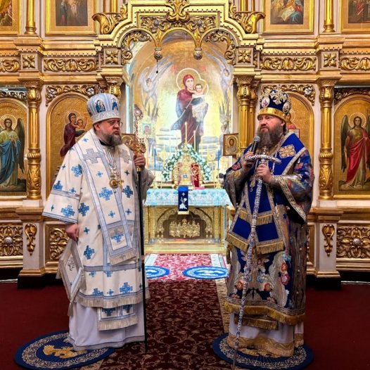 Служіння ректора КДАіС в Кам’янській єпархії УПЦ