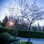 Субота Акафіста, 03.04.2020