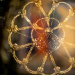 Всенічне бдіння напередодні Неділі 5-ої Великого посту