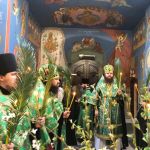 Всенічне бдіння напередодні Вербної Неділі, 11.04.2020