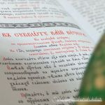 Всенічне бдіння напередодні Вербної Неділі, 11.04.2020