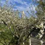 Велика Середа, 15.04.2020