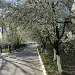 Велика Середа, 15.04.2020